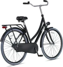 Crown Moscow Omafiets 28 Inch 53cm Grijs -Fietsenreeksen Winkel 1144x1200