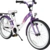 Bikestar 20 Inch Classic Kinderfiets, Lila / Wit -Fietsenreeksen Winkel 1200x1124 2