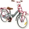2Cycle Desire Kinderfiets - 18 Inch - Voordrager - Grijs - Meisjesfiets -Fietsenreeksen Winkel 1200x1193 1