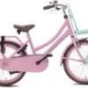 Valetta Cargo - Transportfiets - Meisjesfiets - 20 Inch - Mint Roze 1 Valetta Cargo - Transportfiets - Meisjesfiets - 20 Inch - Mint Roze -Fietsenreeksen Winkel 1200x833 1