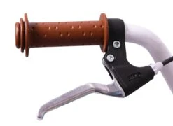 Amigo Bloom Meisjesfiets - Kinderfiets 20 Inch - Turquoise -Fietsenreeksen Winkel 1200x876