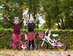 Amigo Flower Meisjesfiets - Kinderfiets 18 Inch - Wit 17 Amigo Flower Meisjesfiets - Kinderfiets 18 Inch - Wit -Fietsenreeksen Winkel 1200x917 13