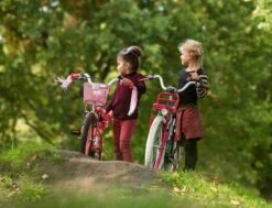 Amigo Bloom Meisjesfiets - Kinderfiets 20 Inch - Turquoise -Fietsenreeksen Winkel 1200x917 46