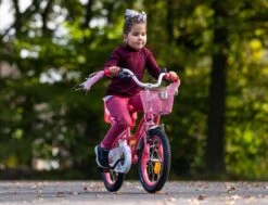 Amigo Magic Meisjesfiets - Kinderfiets 12 Inch - Roze -Fietsenreeksen Winkel 1200x917 66