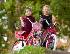Amigo Magic Meisjesfiets - Kinderfiets 12 Inch - Roze -Fietsenreeksen Winkel 1200x917 69